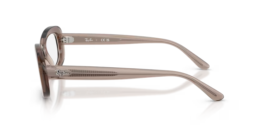 Montura Ray Ban RB2221V