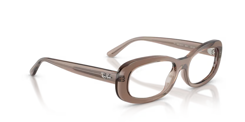 Montura Ray Ban RB2221V